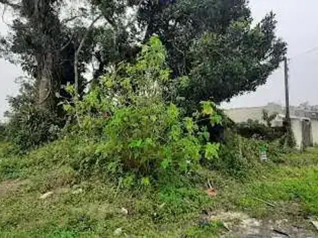 Terreno / Lote para Venda em Pontal do Paraná/PR Shangri lá