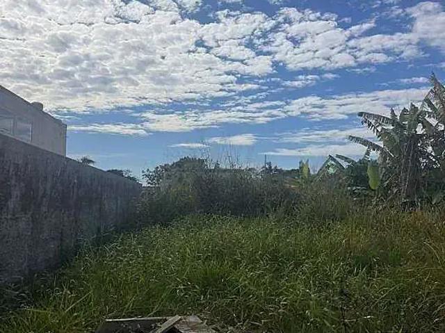 Terreno / Lote para Venda em Pontal do Paraná/PR Pontal do Sul