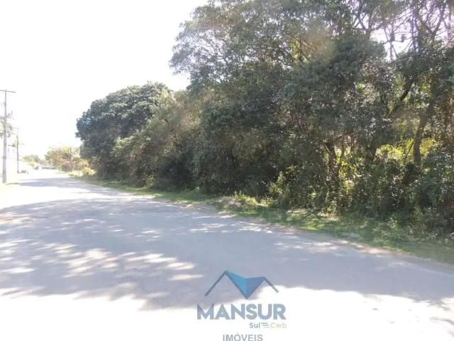 Terreno / Lote para Venda em Pontal do Paraná/PR Pontal do Sul