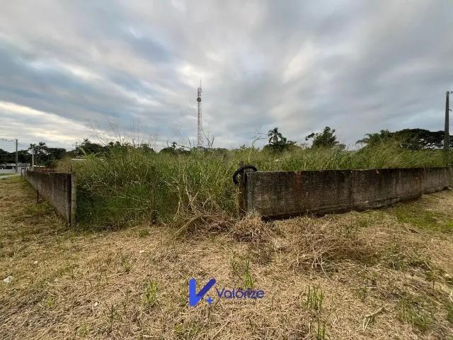 Terreno / Lote para Venda em Pontal do Paraná/PR Pontal do Sul