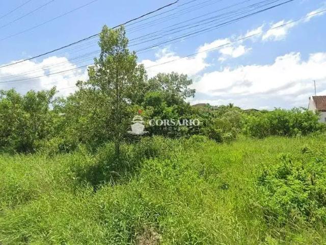Terreno / Lote para Venda em Pontal do Paraná/PR Pontal do Sul