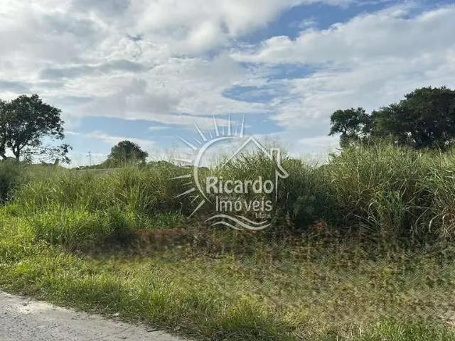 Terreno / Lote para Venda em Pontal do Paraná/PR Pontal do Sul