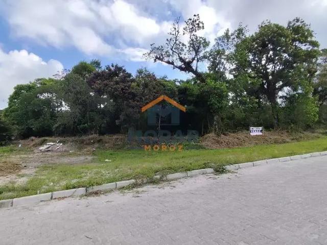 Terreno / Lote para Venda em Pontal do Paraná/PR Pontal do Sul