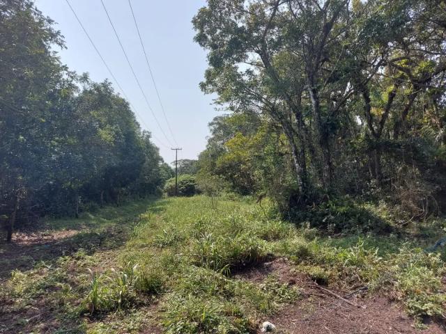 Terreno / Lote para Venda em Pontal do Paraná/PR Pontal do Sul