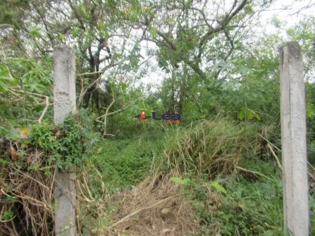 Terreno / Lote para Venda em Poá/SP Vila Amélia