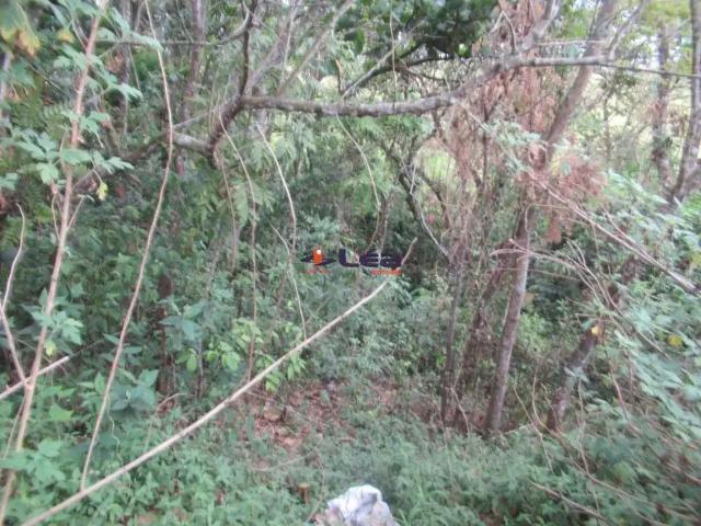 Terreno / Lote para Venda em Poá/SP Vila Amélia