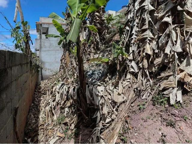 Terreno / Lote para Venda em Poá/SP Jardim Bela Vista