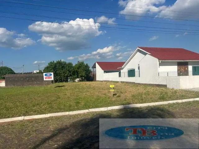 Terreno / Lote para Venda em Portão/RS Centro