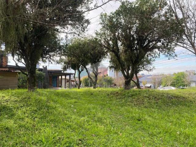 Terreno / Lote para Venda em Portão/RS Centro