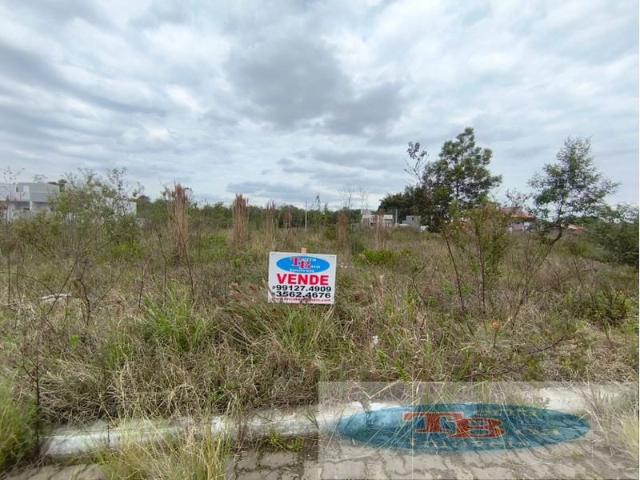 Terreno / Lote para Venda em Portão/RS Centro