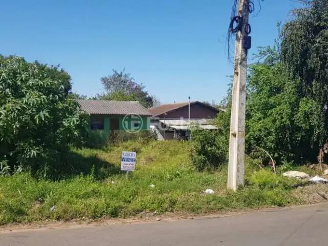 Terreno / Lote para Venda em Portão/RS Estação Portão