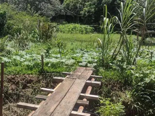 Terreno / Lote para Venda em Portão/RS Macaco Branco