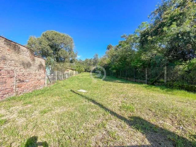 Terreno / Lote para Venda em Portão/RS Portão Velho