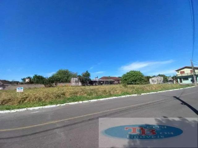 Terreno / Lote para Venda em Portão/RS Portão Velho