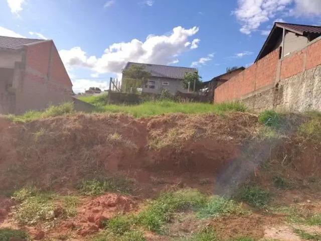 Terreno / Lote para Venda em Portão/RS Portão Velho