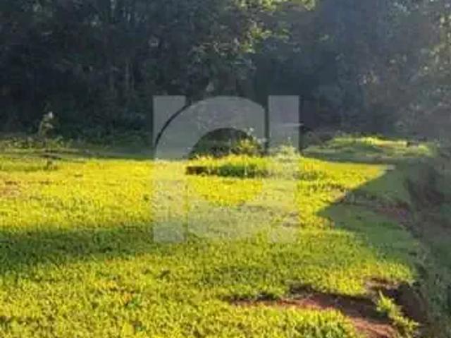 Terreno / Lote para Venda em Portão/RS Rincão do Cascalho