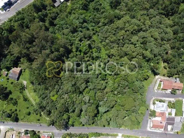 Terreno / Lote para Venda em Porto União/SC São Pedro