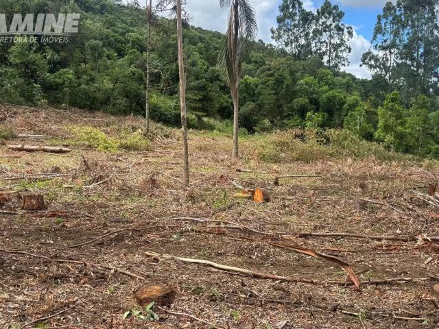 Terreno / Lote para Venda em Porto União/SC São Pedro