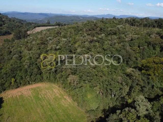 Terreno / Lote para Venda em Porto União/SC Zona Rural