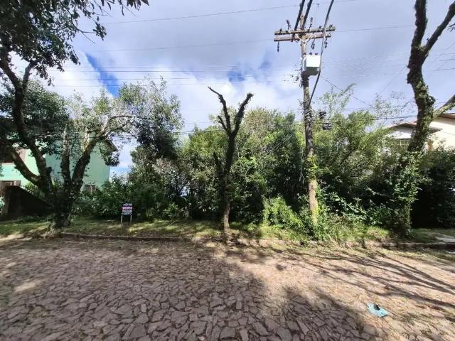 Terreno / Lote para Venda em Porto Alegre/RS Teresópolis