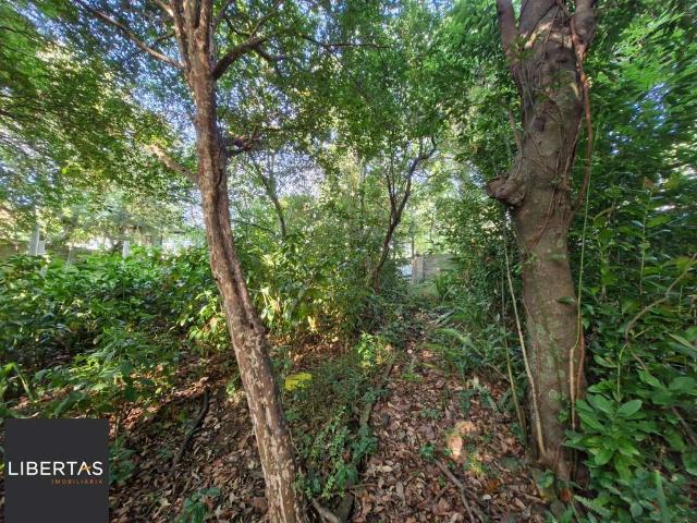 Terreno / Lote para Venda em Porto Alegre/RS Teresópolis