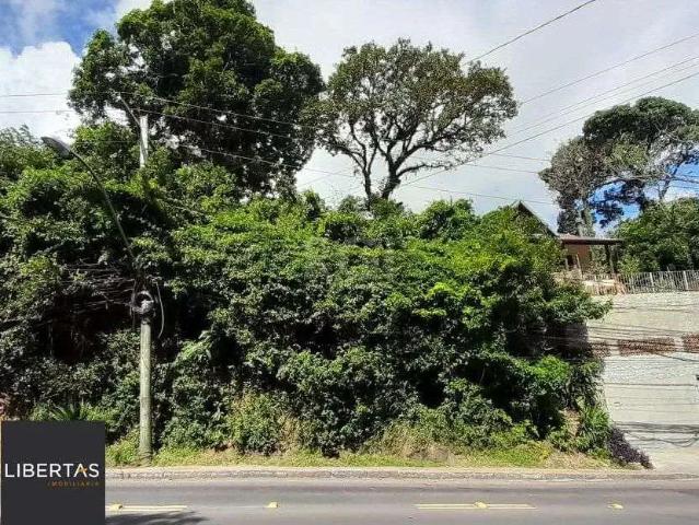 Terreno / Lote para Venda em Porto Alegre/RS Tristeza