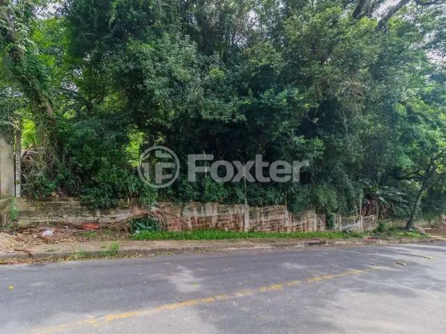 Terreno / Lote para Venda em Porto Alegre/RS Tristeza