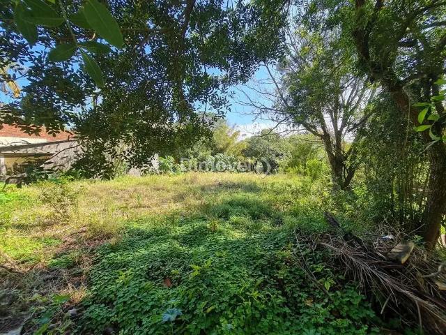 Terreno / Lote para Venda em Porto Alegre/RS Tristeza