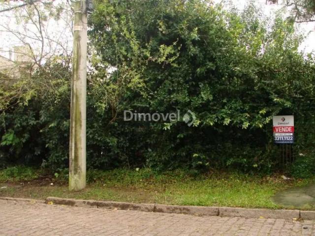 Terreno / Lote para Venda em Porto Alegre/RS Tristeza