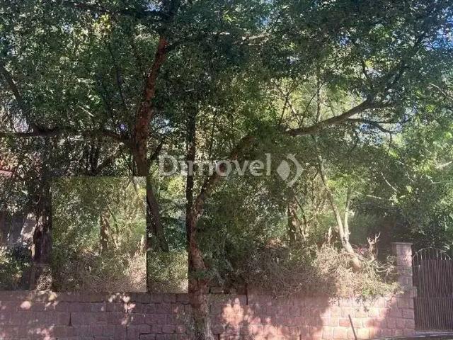 Terreno / Lote para Venda em Porto Alegre/RS Tristeza