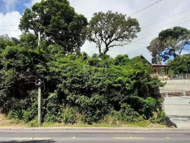 Terreno / Lote para Venda em Porto Alegre/RS Tristeza