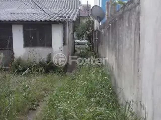 Terreno / Lote para Venda em Porto Alegre/RS Tristeza