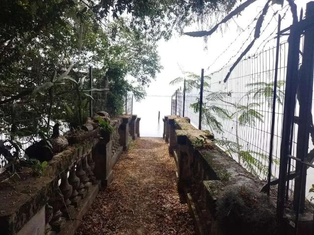 Terreno / Lote para Venda em Porto Alegre/RS Tristeza