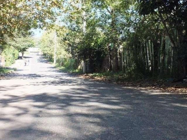 Terreno / Lote para Venda em Porto Alegre/RS Tristeza