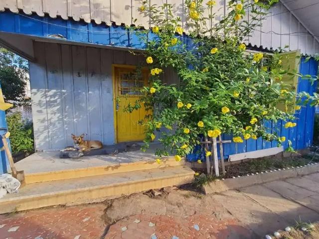 Terreno / Lote para Venda em Porto Alegre/RS Tristeza