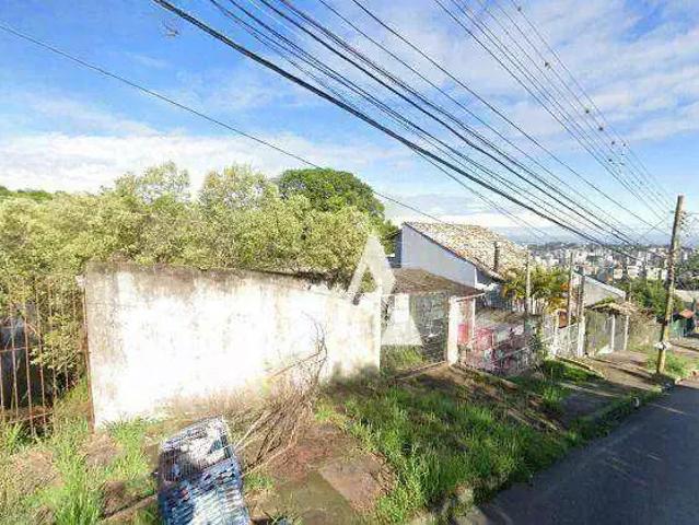 Terreno / Lote para Venda em Porto Alegre/RS Tristeza