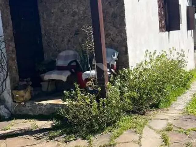 Terreno / Lote para Venda em Porto Alegre/RS Tristeza 1 Quartos