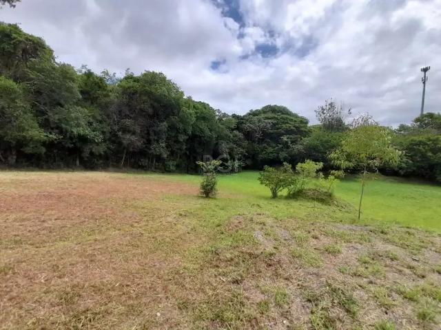 Terreno / Lote para Venda em Porto Alegre/RS Vila Nova