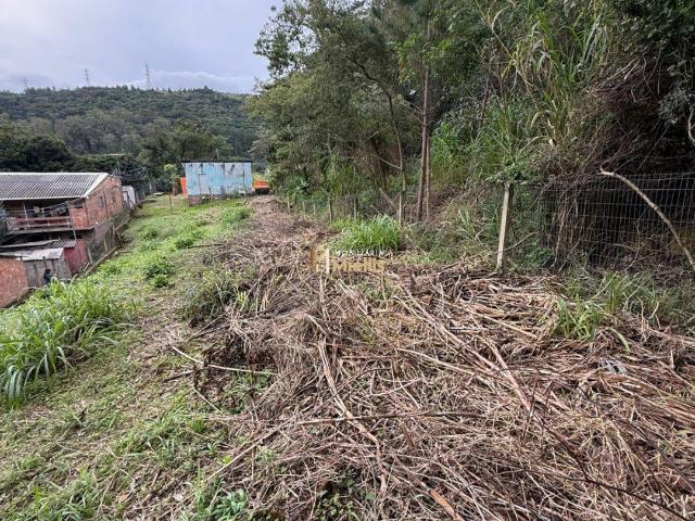 Terreno / Lote para Venda em Porto Alegre/RS Vila Nova