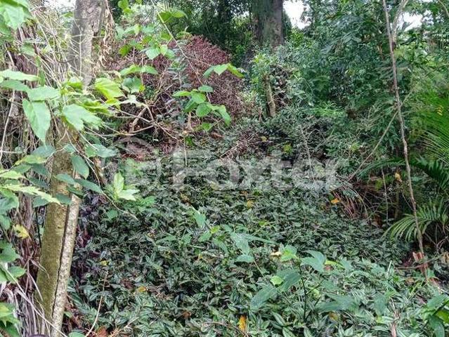 Terreno / Lote para Venda em Porto Alegre/RS Vila Nova