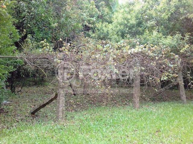 Terreno / Lote para Venda em Porto Alegre/RS Vila Nova