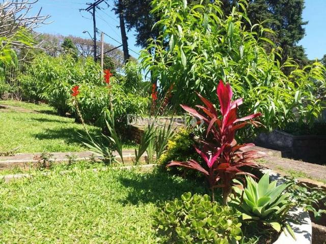 Terreno / Lote para Venda em Porto Alegre/RS Vila Nova