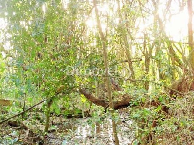 Terreno / Lote para Venda em Porto Alegre/RS Vila Nova