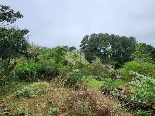Terreno / Lote para Venda em Porto Alegre/RS Vila Nova