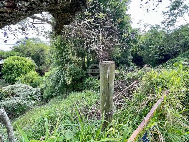 Terreno / Lote para Venda em Porto Alegre/RS Vila Assunção