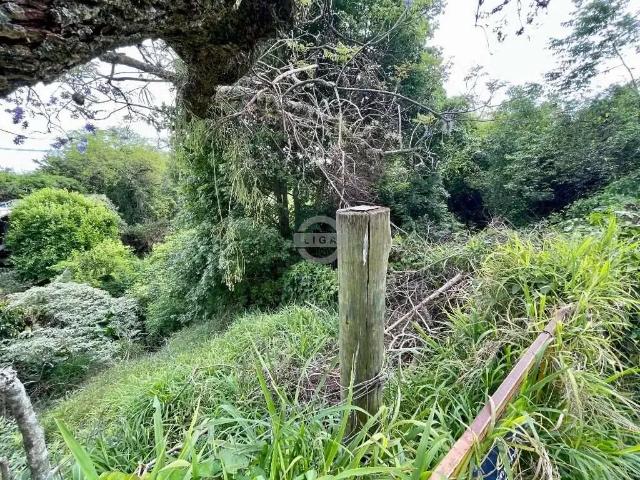 Terreno / Lote para Venda em Porto Alegre/RS Vila Assunção