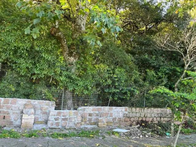 Terreno / Lote para Venda em Porto Alegre/RS Vila Assunção