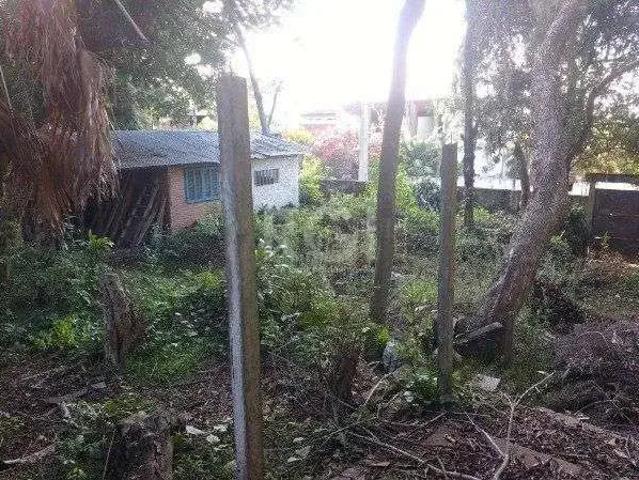 Terreno / Lote para Venda em Porto Alegre/RS Vila Conceição