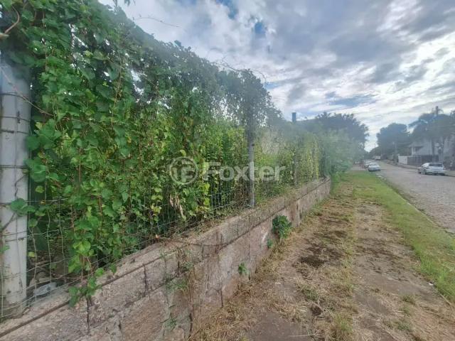 Terreno / Lote para Venda em Porto Alegre/RS Vila Conceição