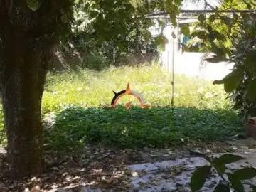 Terreno / Lote para Venda em Porto Alegre/RS Vila Ipiranga